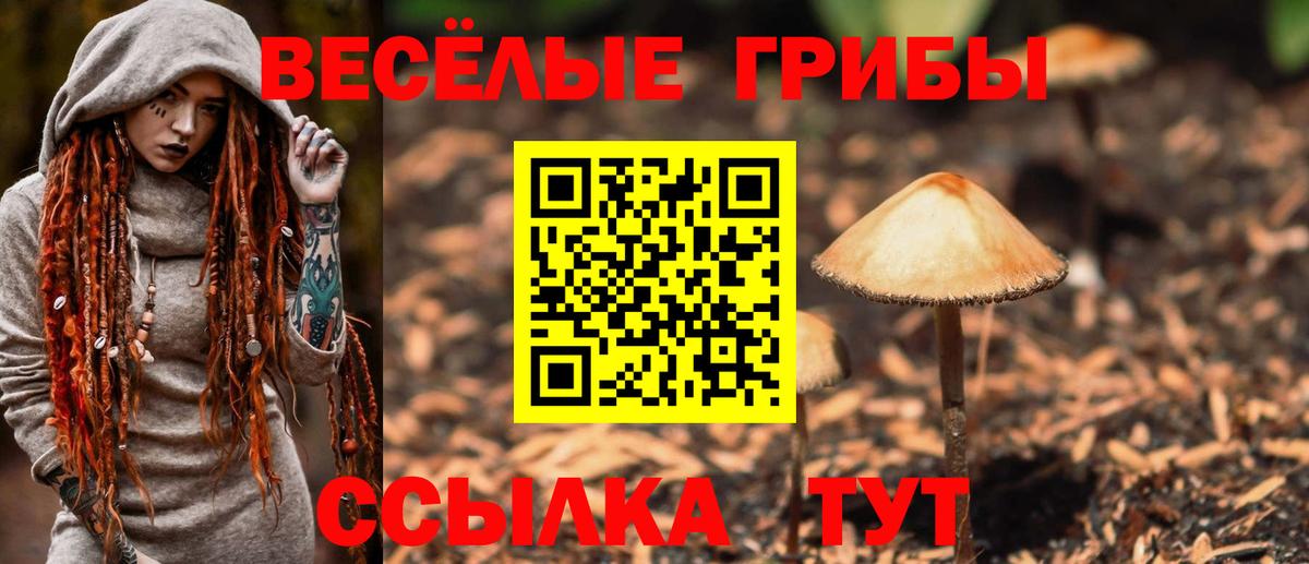 Псилоцибиновые грибы Cubensis  Вход с VPN  Галлюциногенные грибы Cubensis  как найти наркотики  Алапаевск 